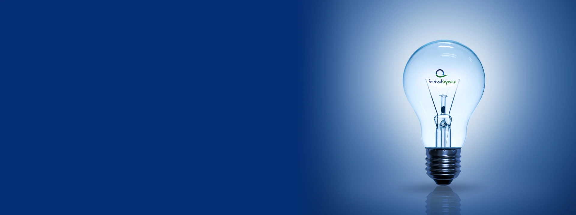 Brand Space India light bulb concept banner